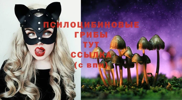 а пвп мука Магадан