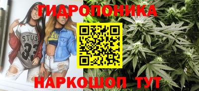твердый Ставрополь