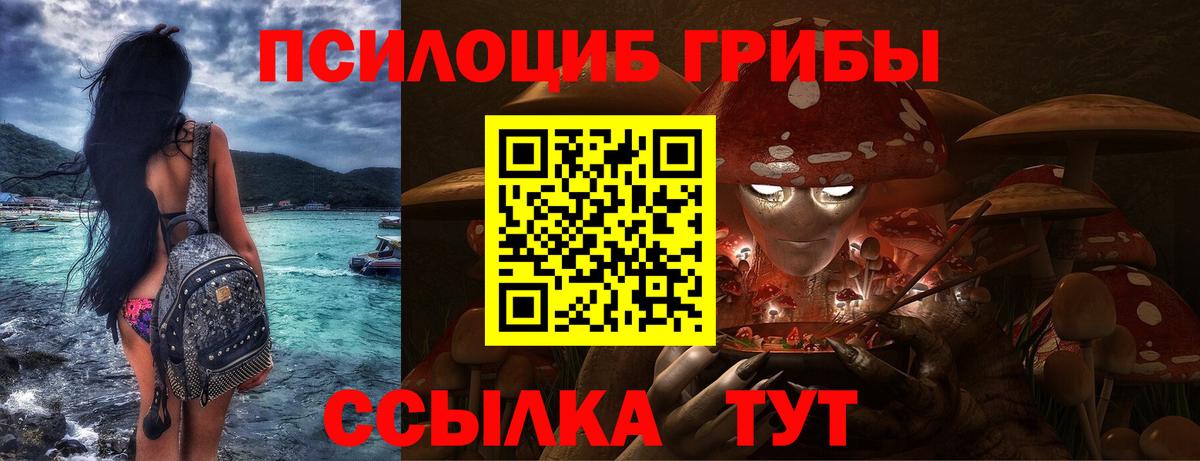 где найти наркотики  Вход с VPN  Смоленск  Псилоцибиновые грибы GOLDEN TEACHER 